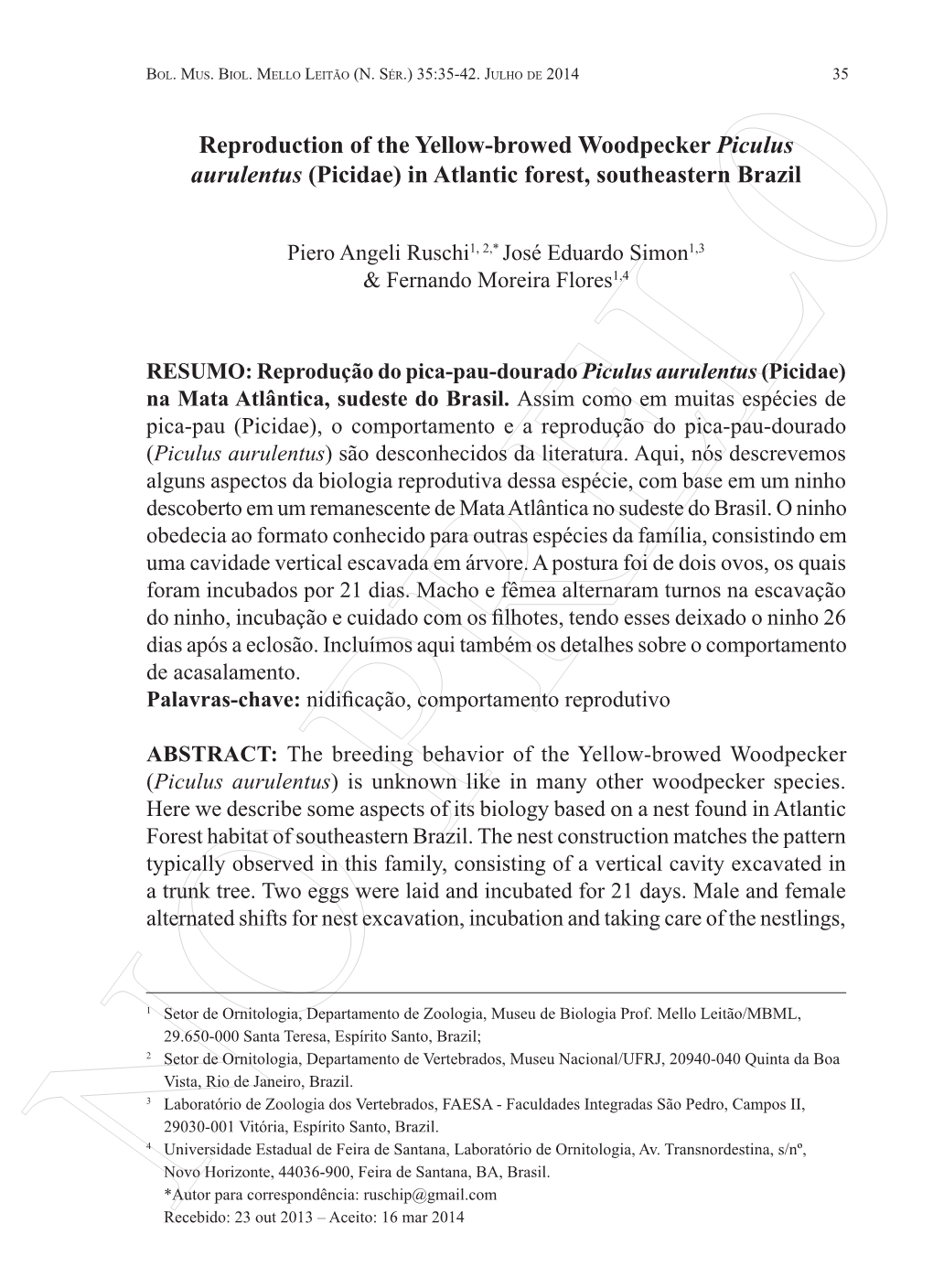 Reproduction of the Yellow-Browed Woodpecker Piculus Aurulentus (Picidae) in Atlantic Forest, Southeastern Brazil