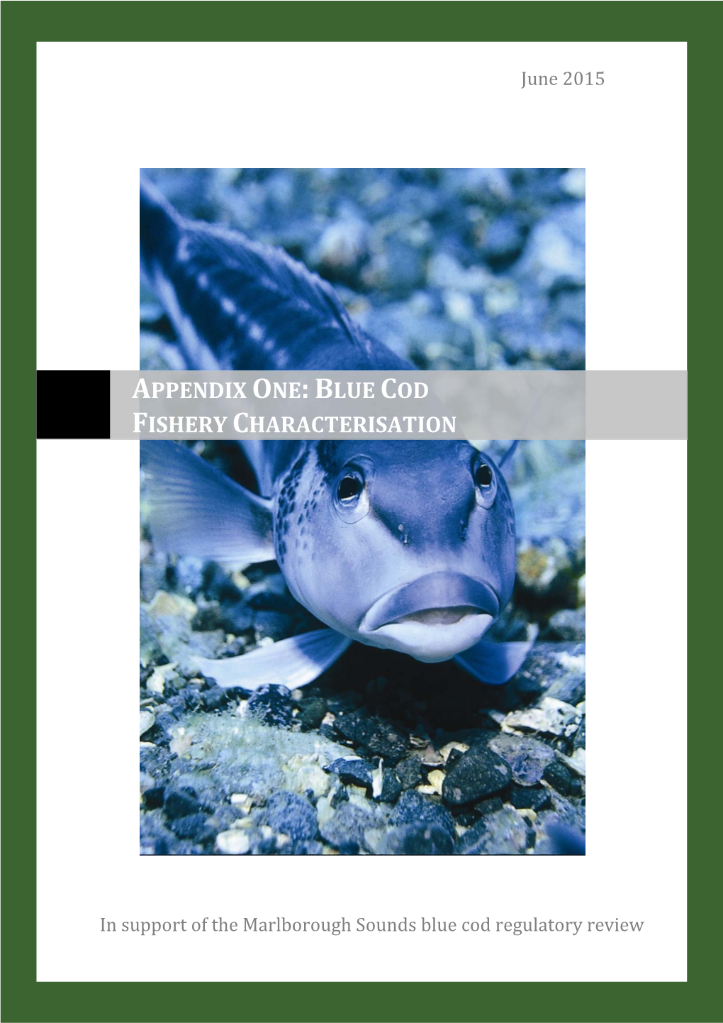 Appendix 1: Blue Cod Fishery Characterisation