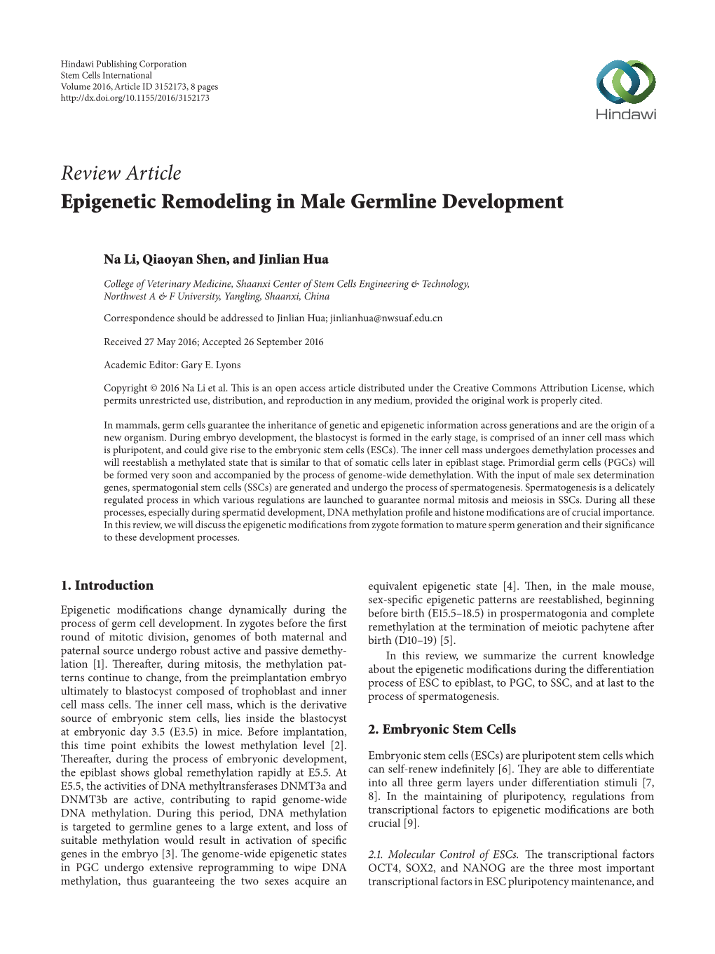 Epigenetic Remodeling in Male Germline Development