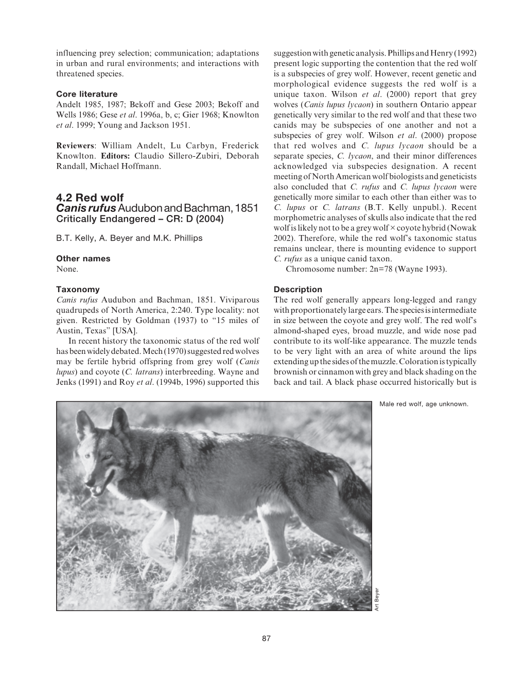 Kelly, B. T., A. Beyer, and M. K. Philllips. 2004.Red Wolf (Canis Rufus)