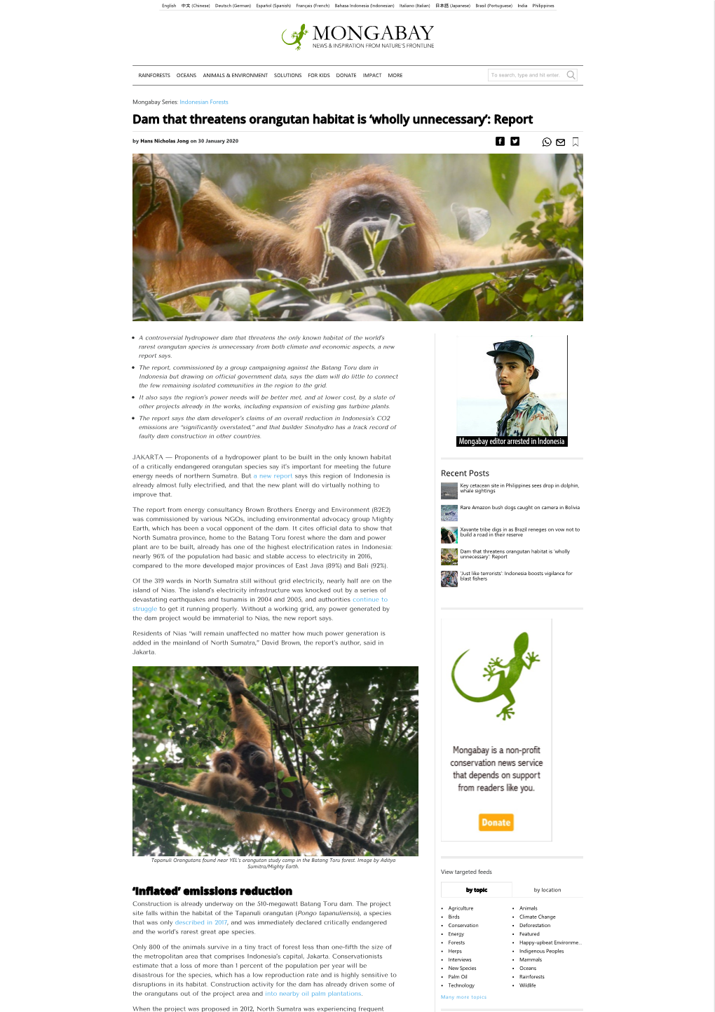 Dam That Threatens Orangutan Habitat Is ‘Wholly Unnecessary’: Report by Hans Nicholas Jong on 30 January 2020