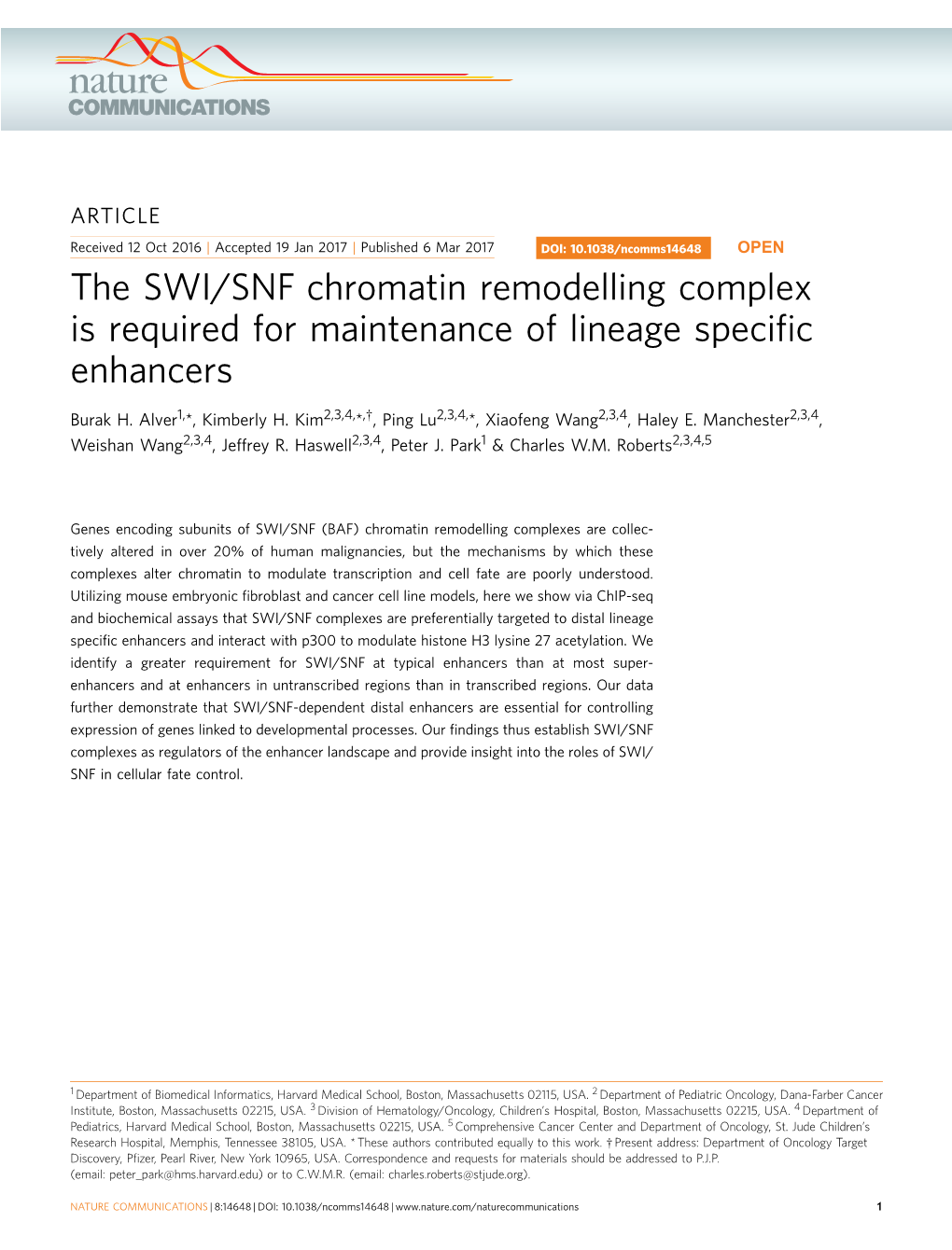 The SWI/SNF Chromatin Remodelling Complex Is Required for Maintenance of Lineage Speciﬁc Enhancers