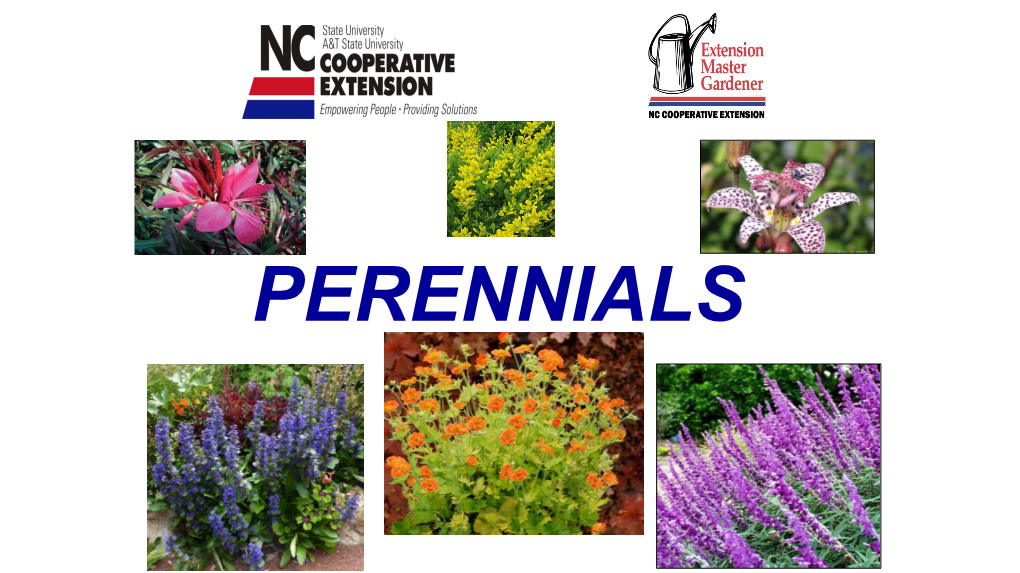 2017 Perennials Annuals Grasses