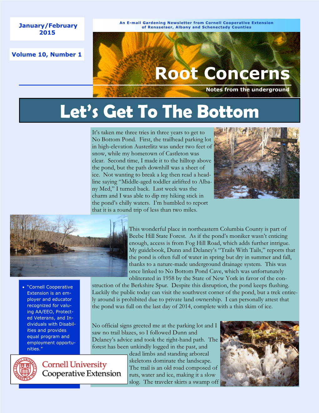 Root Concerns Notes from the Underground Let’S Get to the Bottom