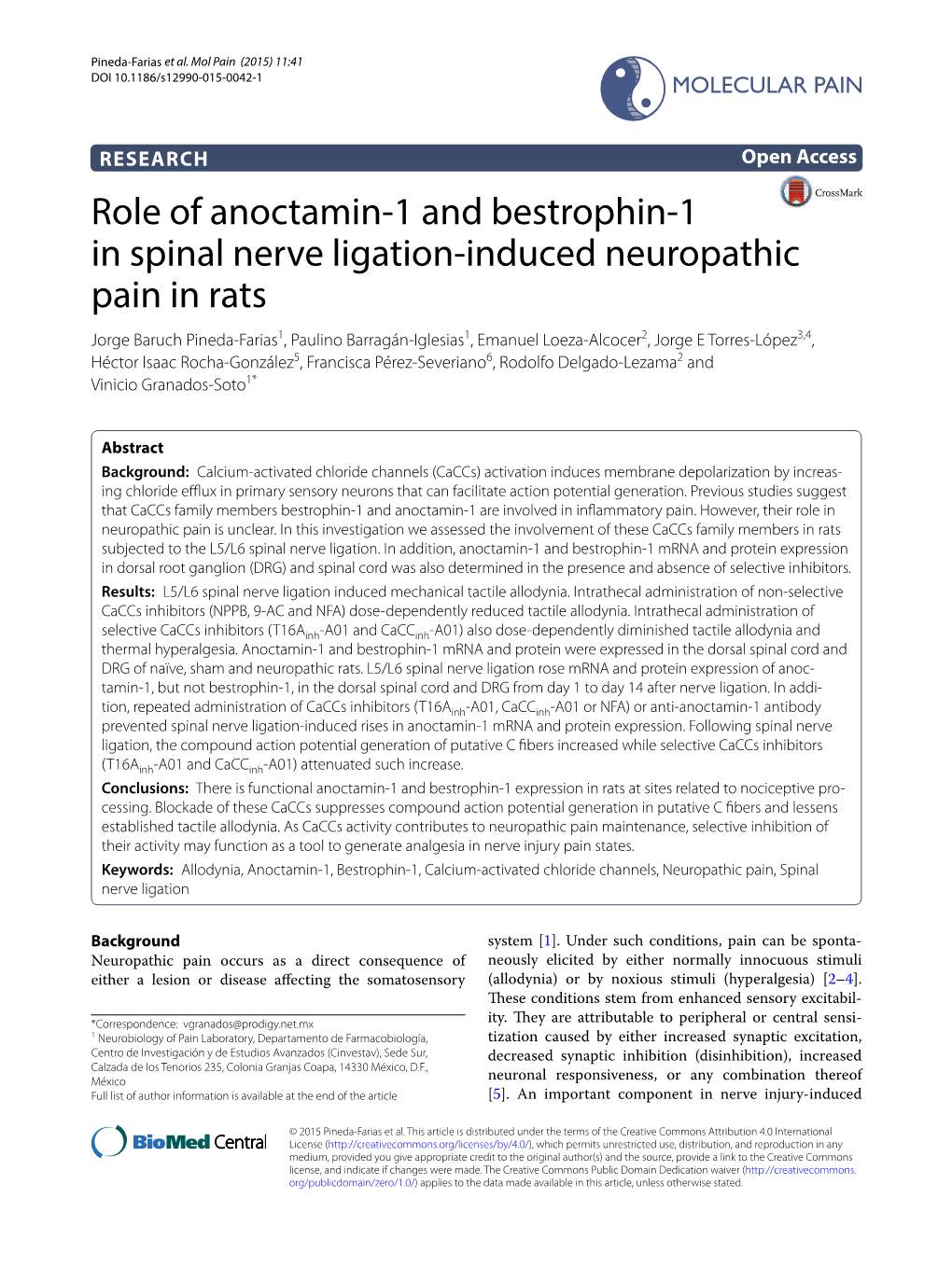 Role of Anoctamin-1 and Bestrophin-1 in Spinal Nerve Ligation-Induced