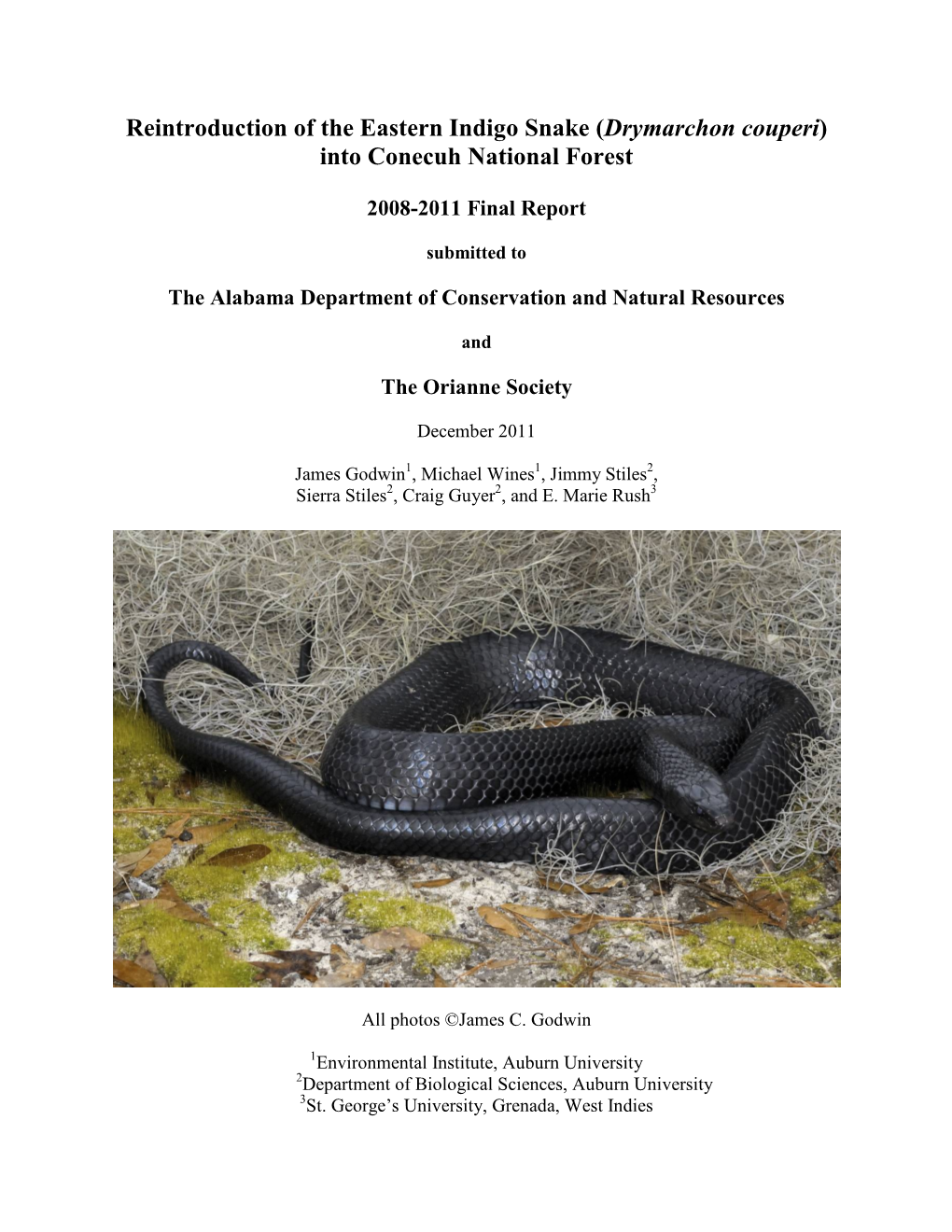 Reintroduction of the Eastern Indigo Snake Onto Conecuh National Forest