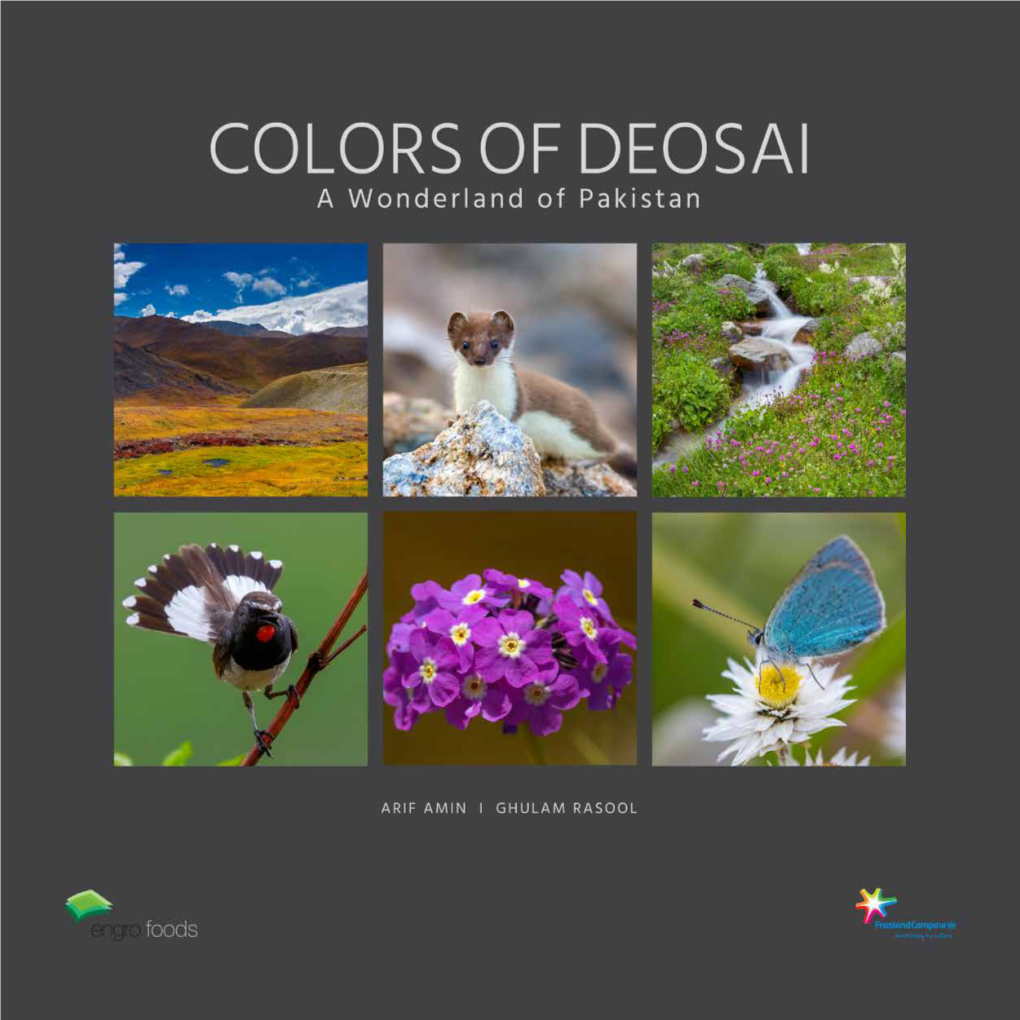 Colors of Deosai Focuses on Pictorially Capturing the Rare Flora and Fauna Found in the Deosai Plains