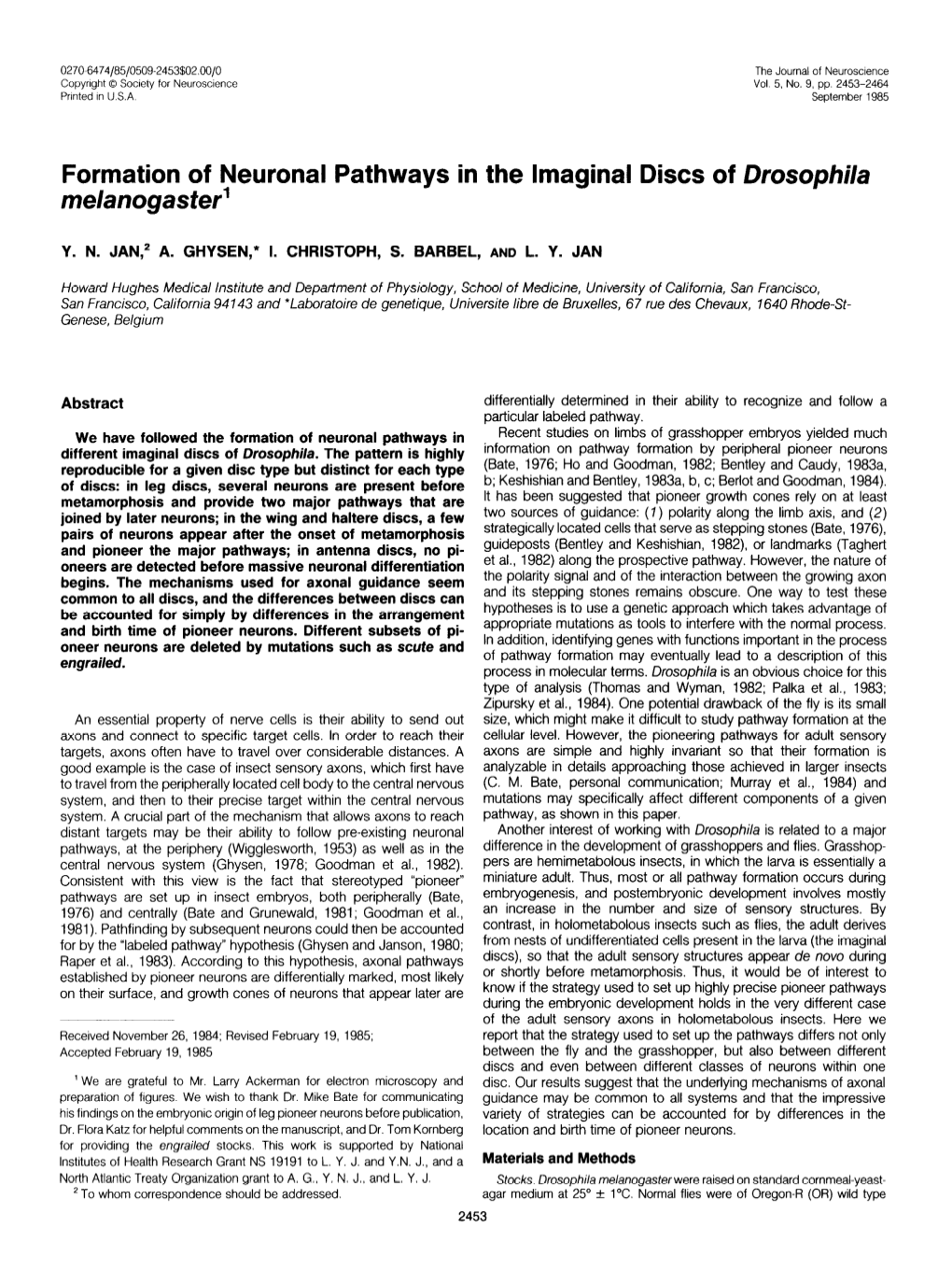 Formation of Neuronal Pathways in the Lmaginal Discs of Drosophila Melanogaster’