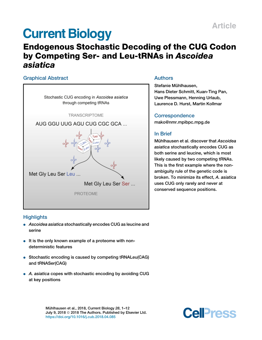 Endogenous Stochastic Decoding of the CUG Codon by Competing Ser- and Leu-Trnas in Ascoidea Asiatica