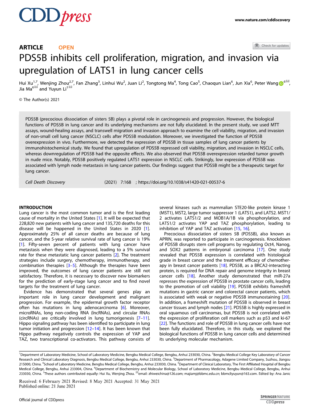PDS5B Inhibits Cell Proliferation, Migration, and Invasion Via Upregulation of LATS1 in Lung Cancer Cells