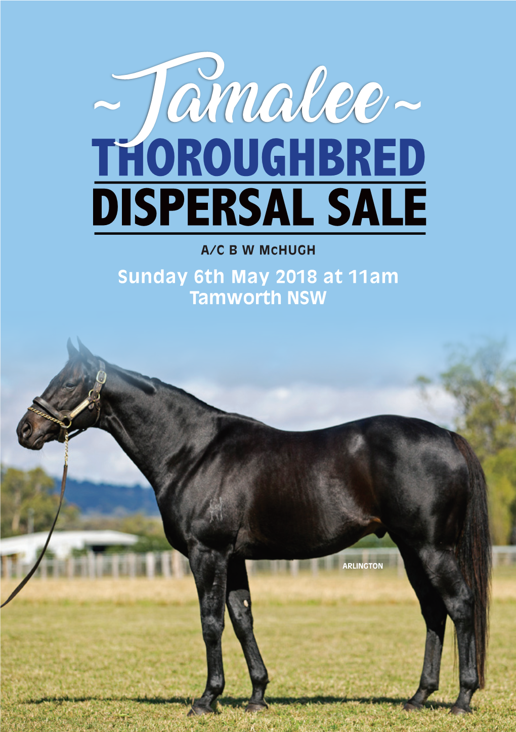 THOROUGHBRED DISPERSAL SALE A/C B W Mchugh Sunday 6Th May 2018 at 11Am Tamworth NSW