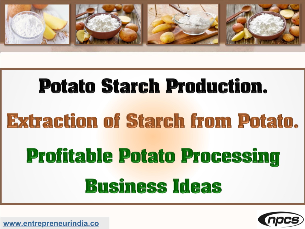Potato Starch Production
