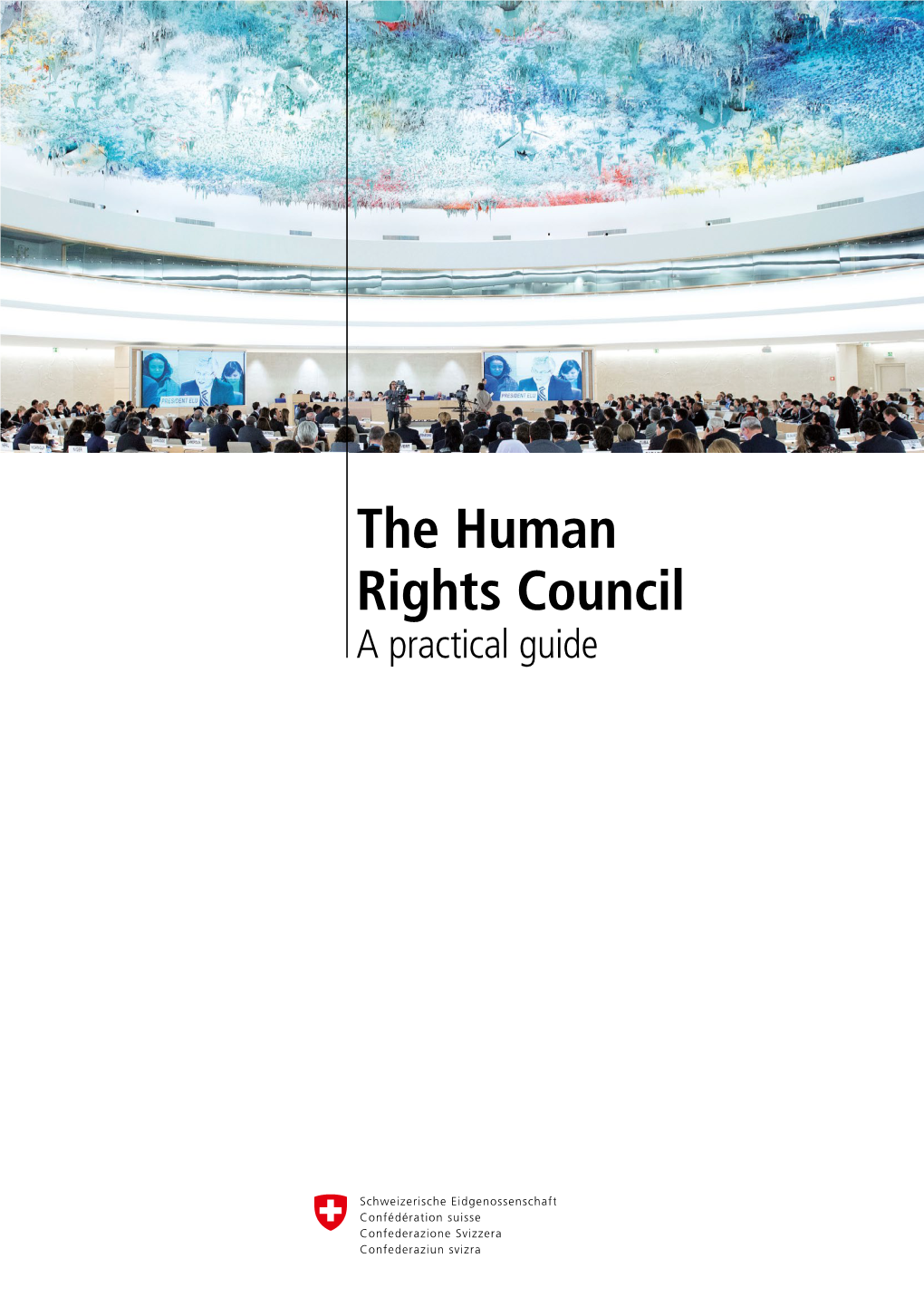 The Human Rights Council: a Practical Guide