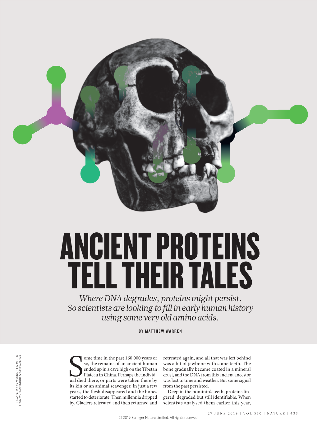 Where DNA Degrades, Proteins Might Persist. So Scientists Are Looking to Fill in Early Human History Using Some Very Old Amino Acids