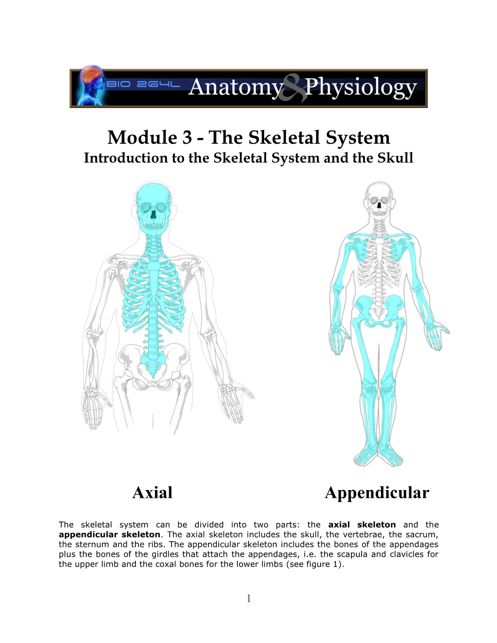 Module 3 - the Skeletal System Introduction to the Skeletal System and the Skull