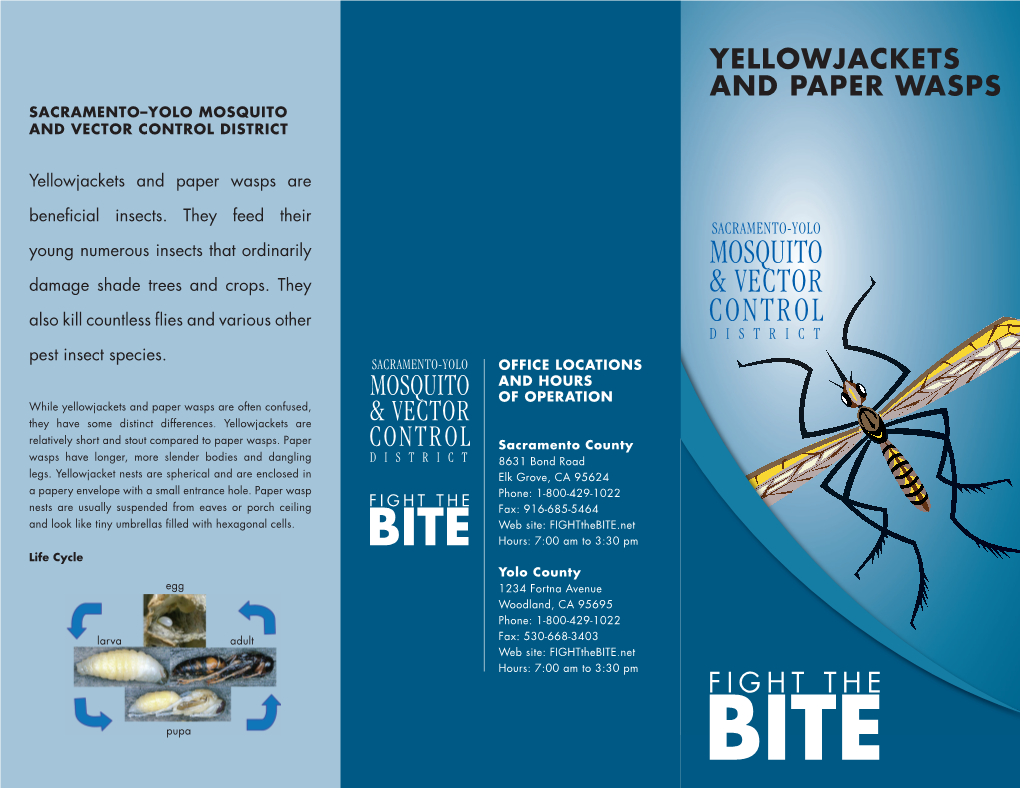 Yellowjackets and Paper Wasps Sacramento–Yolo Mosquito and Vector Control District