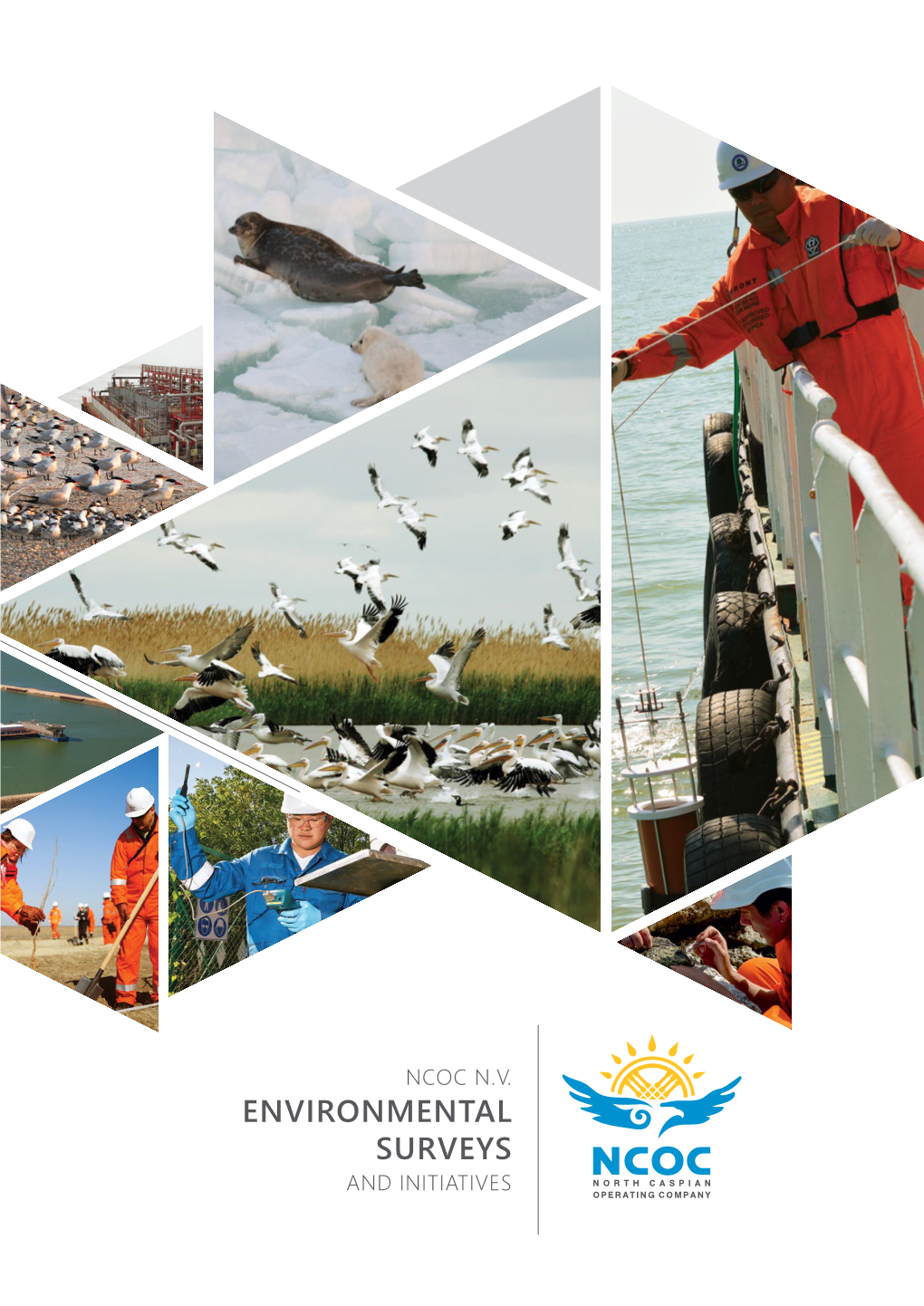 Environmental Surveys and Initiatives