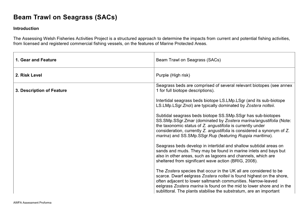 Beam Trawl on Seagrass (Sacs)