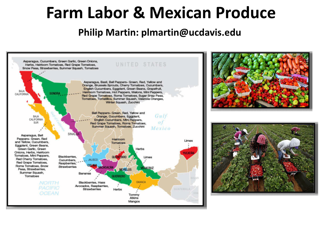 Farm Labor & Mexican Produce