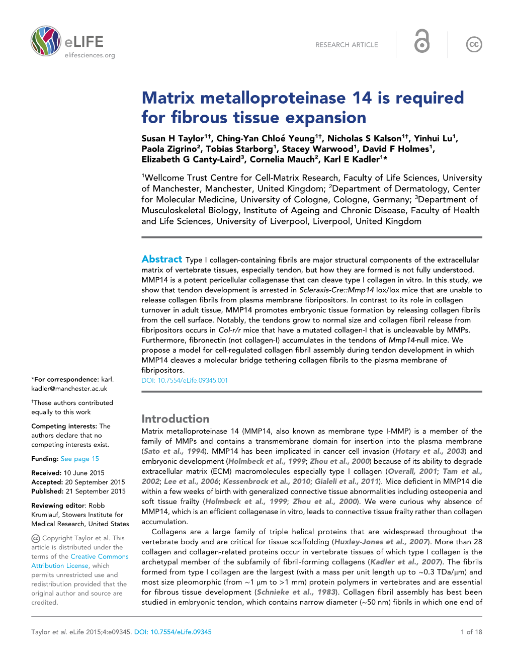 Matrix Metalloproteinase 14 Is Required for Fibrous Tissue Expansion