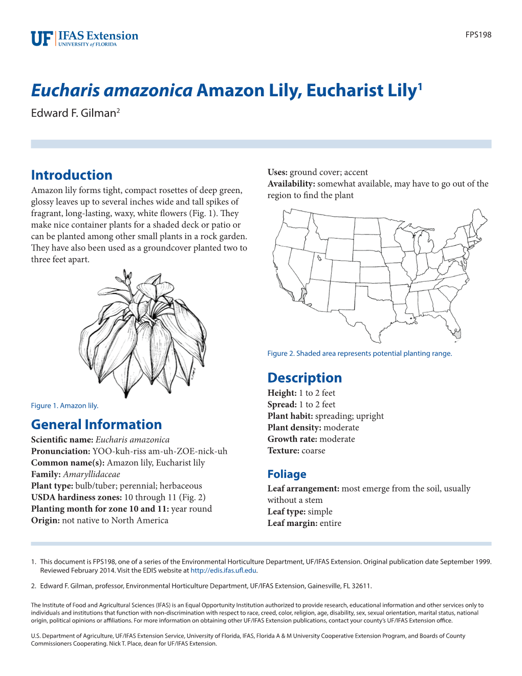 Eucharis Amazonica Amazon Lily, Eucharist Lily1 Edward F