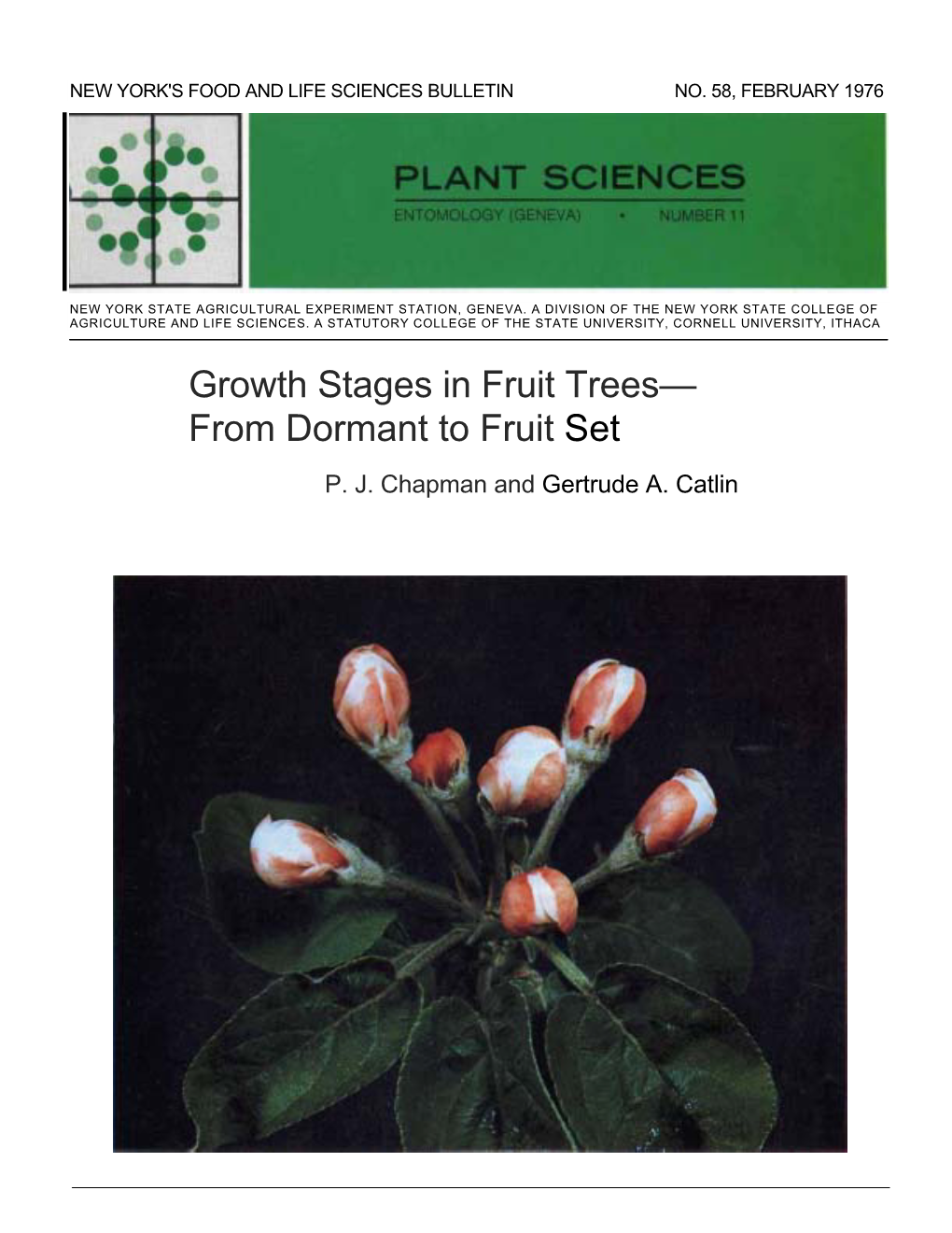 Growth Stages in Fruit Trees— from Dormant to Fruit Set P