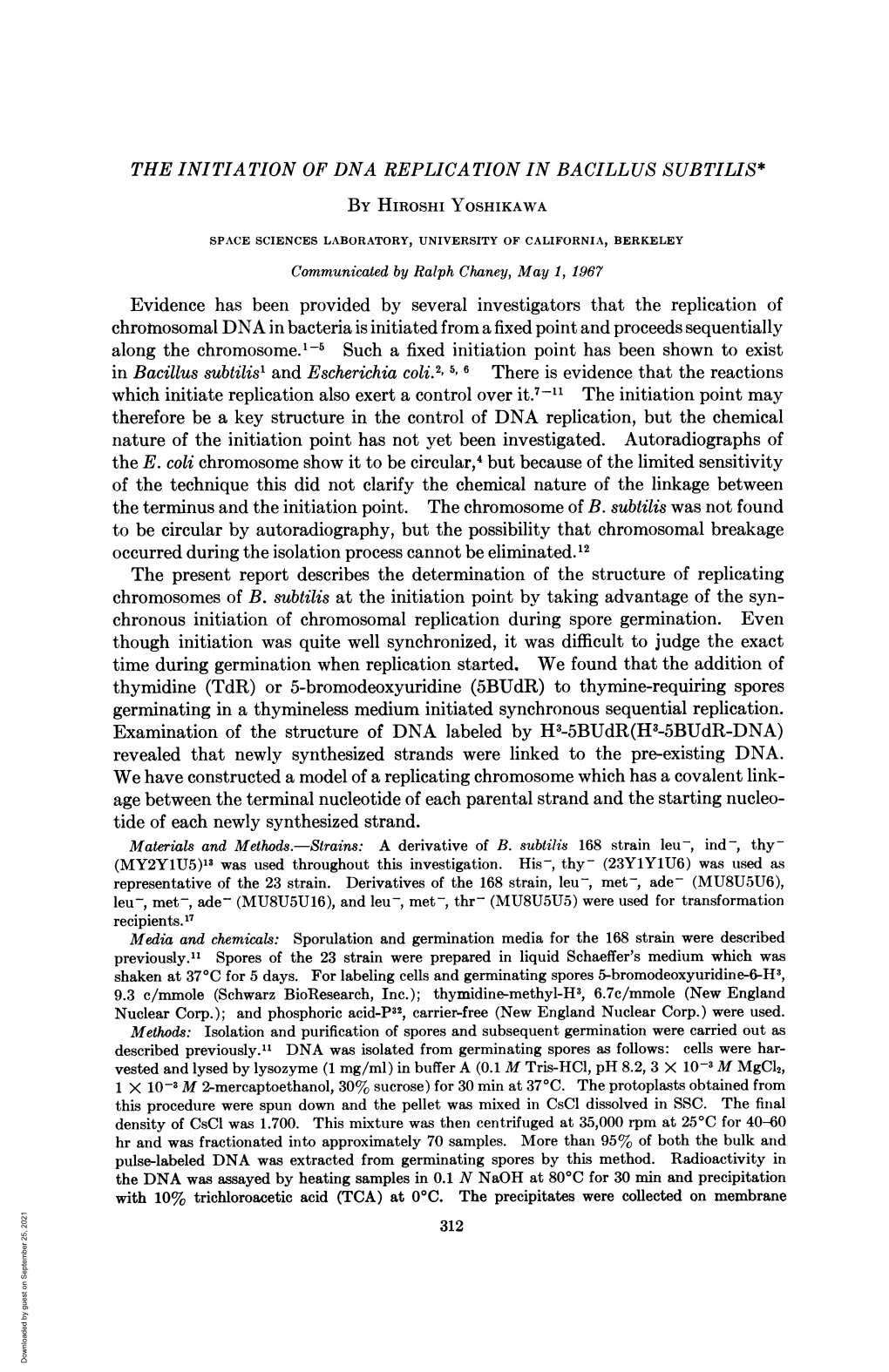 Examination of the Structure of DNA Labeled by H1-5Budr(H3-5Budr-DNA) Revealed That Newly Synthesized Strands Were Linked to the Pre-Existing DNA