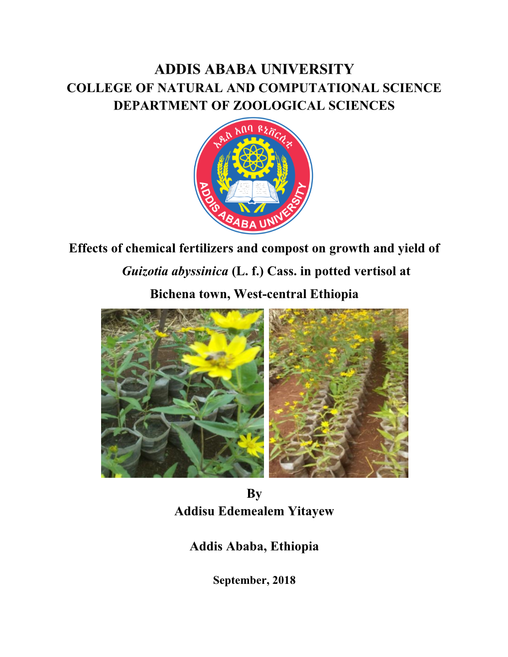 ADDIS ABABA UNIVERSITY Effects of Chemical Fertilizers and Compost On