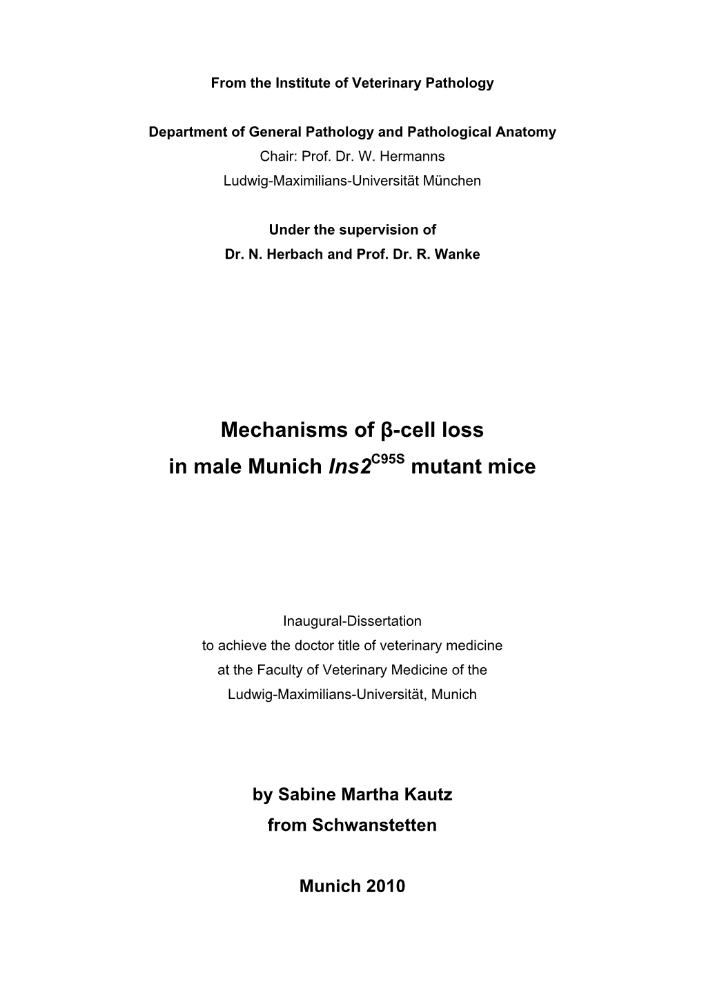 Mechanisms of ß-Cell Loss in Male Munich Ins2c95s Mutant Mice