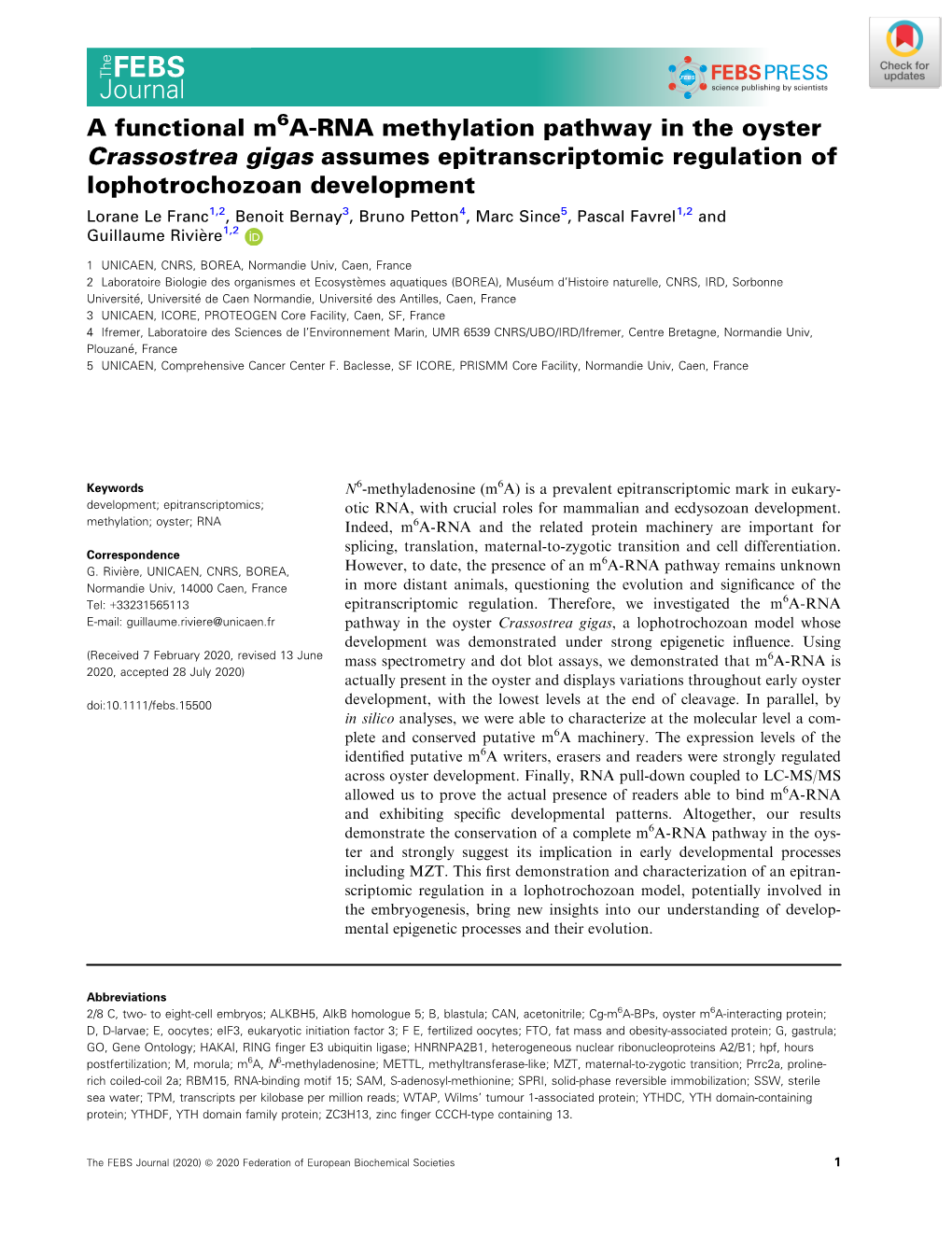 A Functional M6a‐RNA Methylation Pathway in the Oyster Crassostrea