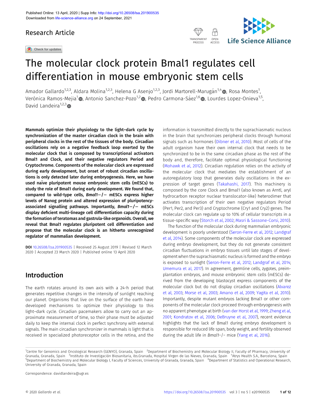The Molecular Clock Protein Bmal1 Regulates Cell Differentiation in Mouse Embryonic Stem Cells
