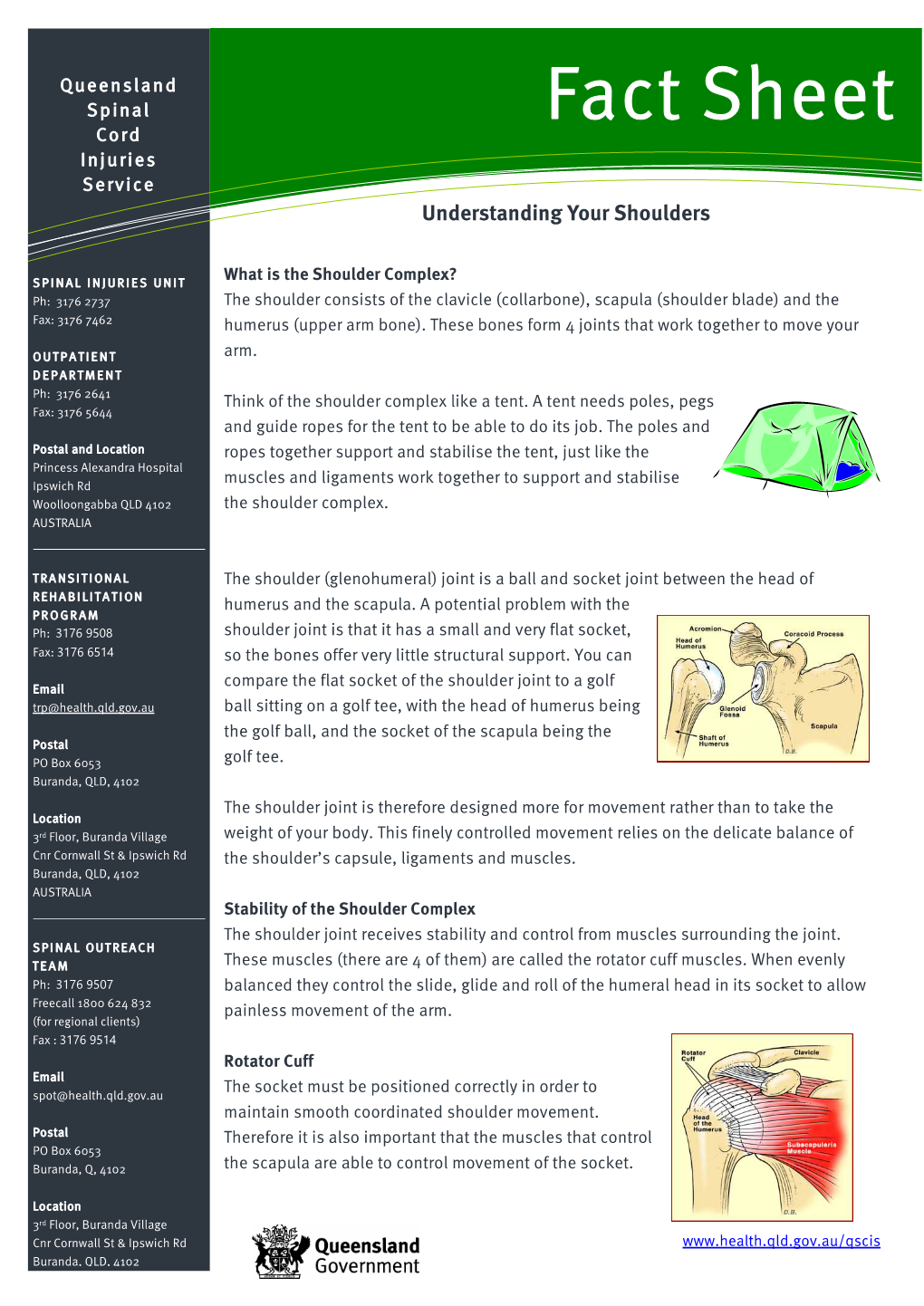 Understanding Your Shoulders