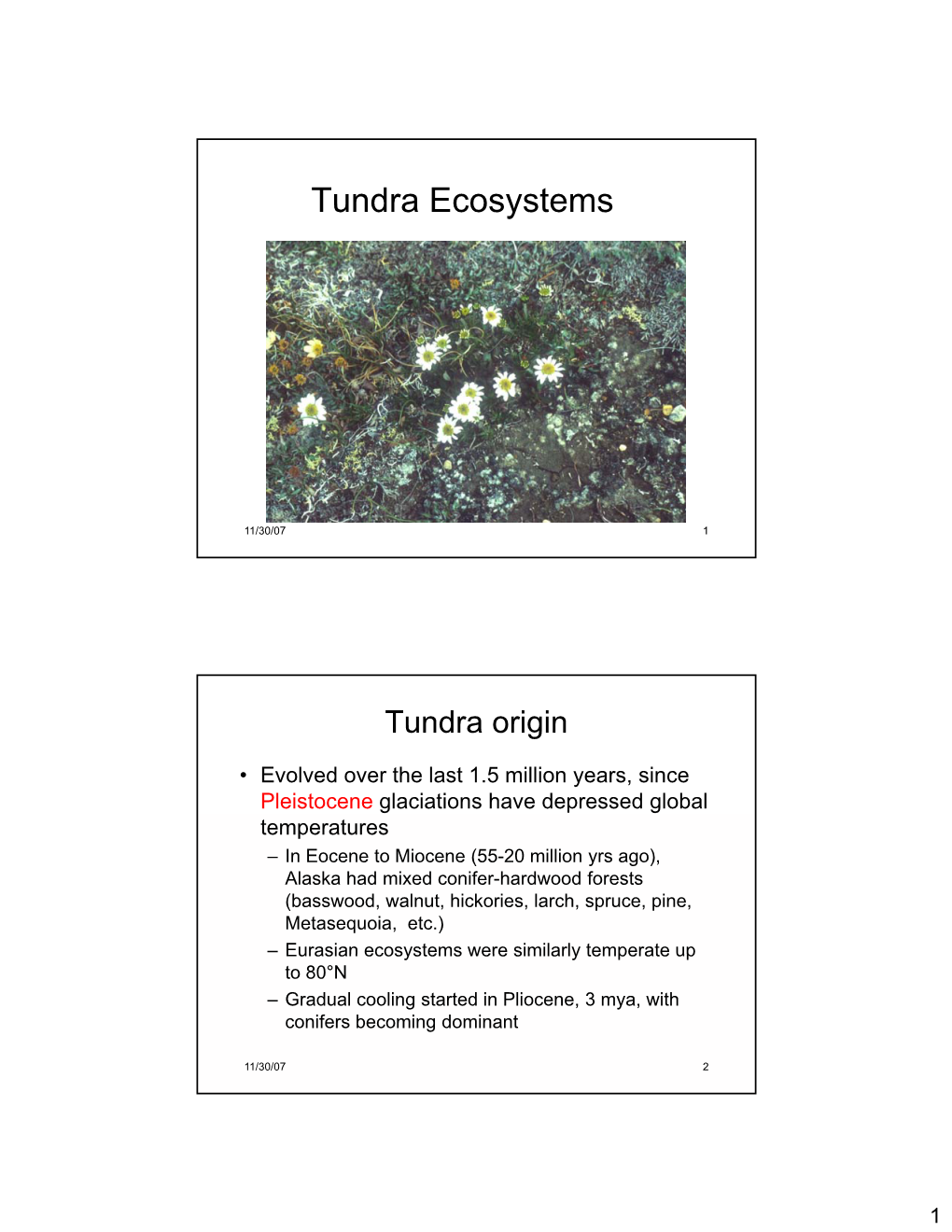 Tundra Ecosystems