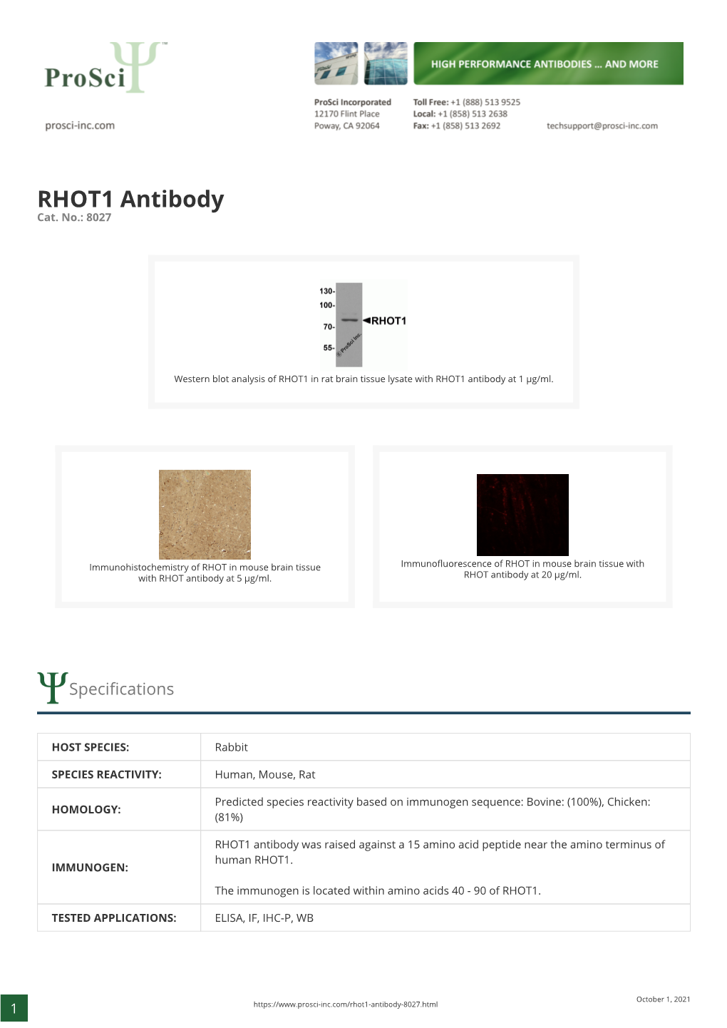 RHOT1 Antibody Cat