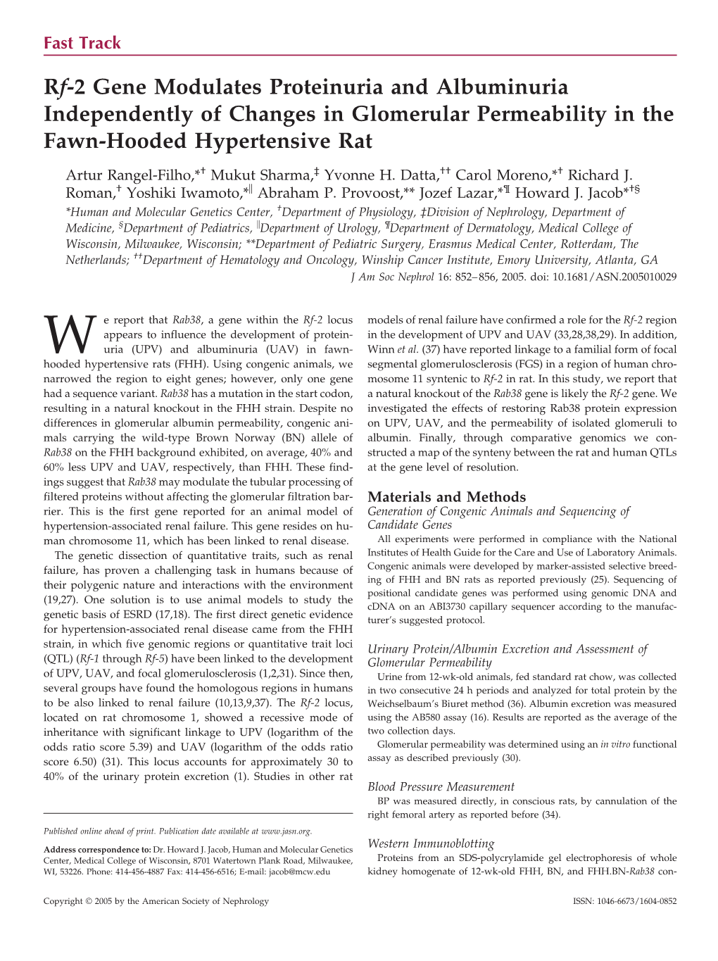 Rf-2 Gene Modulates Proteinuria and Albuminuria Independently of Changes in Glomerular Permeability in the Fawn-Hooded Hypertensive Rat