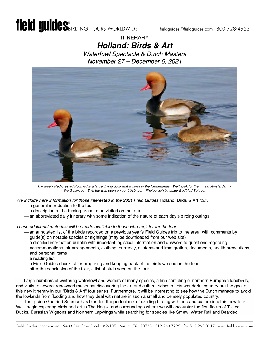 Holland: Birds & Art Waterfowl Spectacle & Dutch Masters November 27 – December 6, 2021