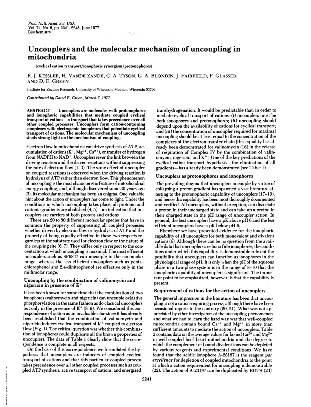 Uncouplers and the Molecular Mechanism of Uncoupling in Mitochondria (Cyclical Cation Transport/Ionophoric Synergism/Protonophores) R