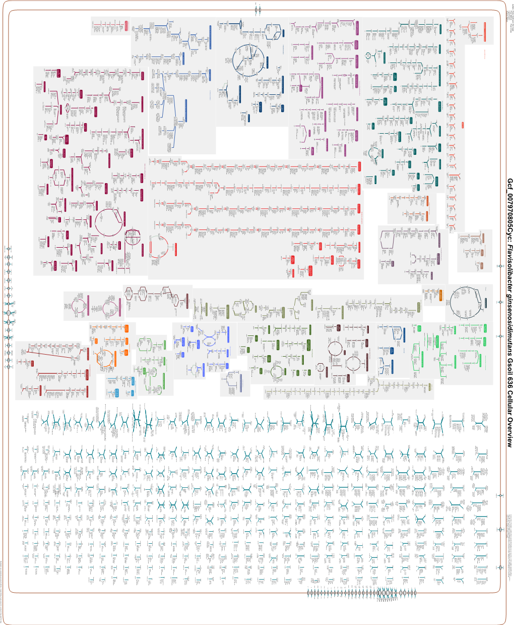 Generate Metabolic Map Poster