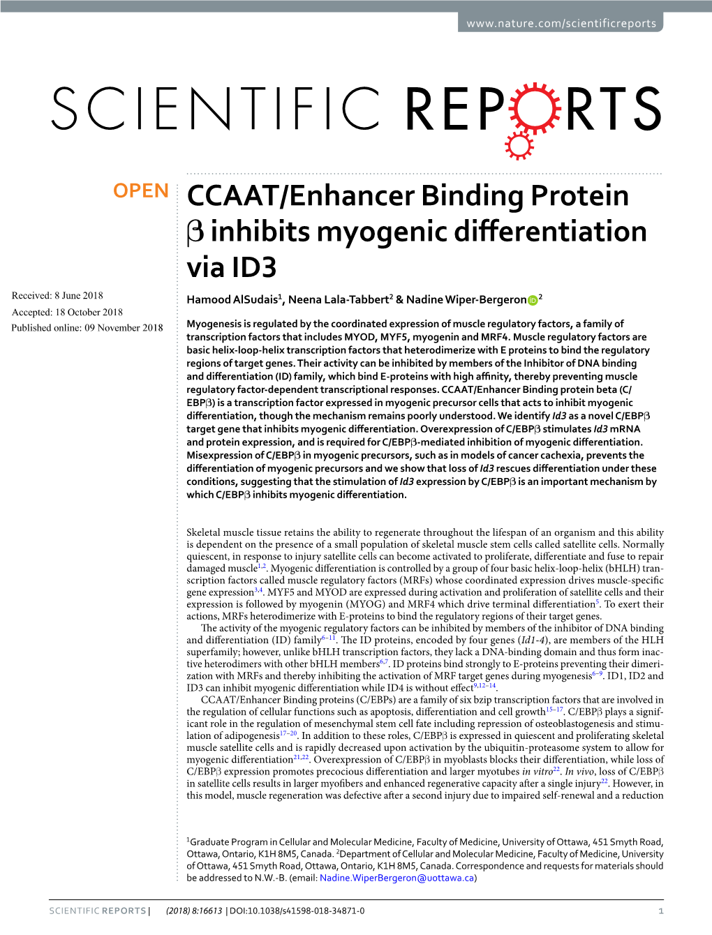 CCAAT/Enhancer Binding Protein Β Inhibits Myogenic Differentiation Via