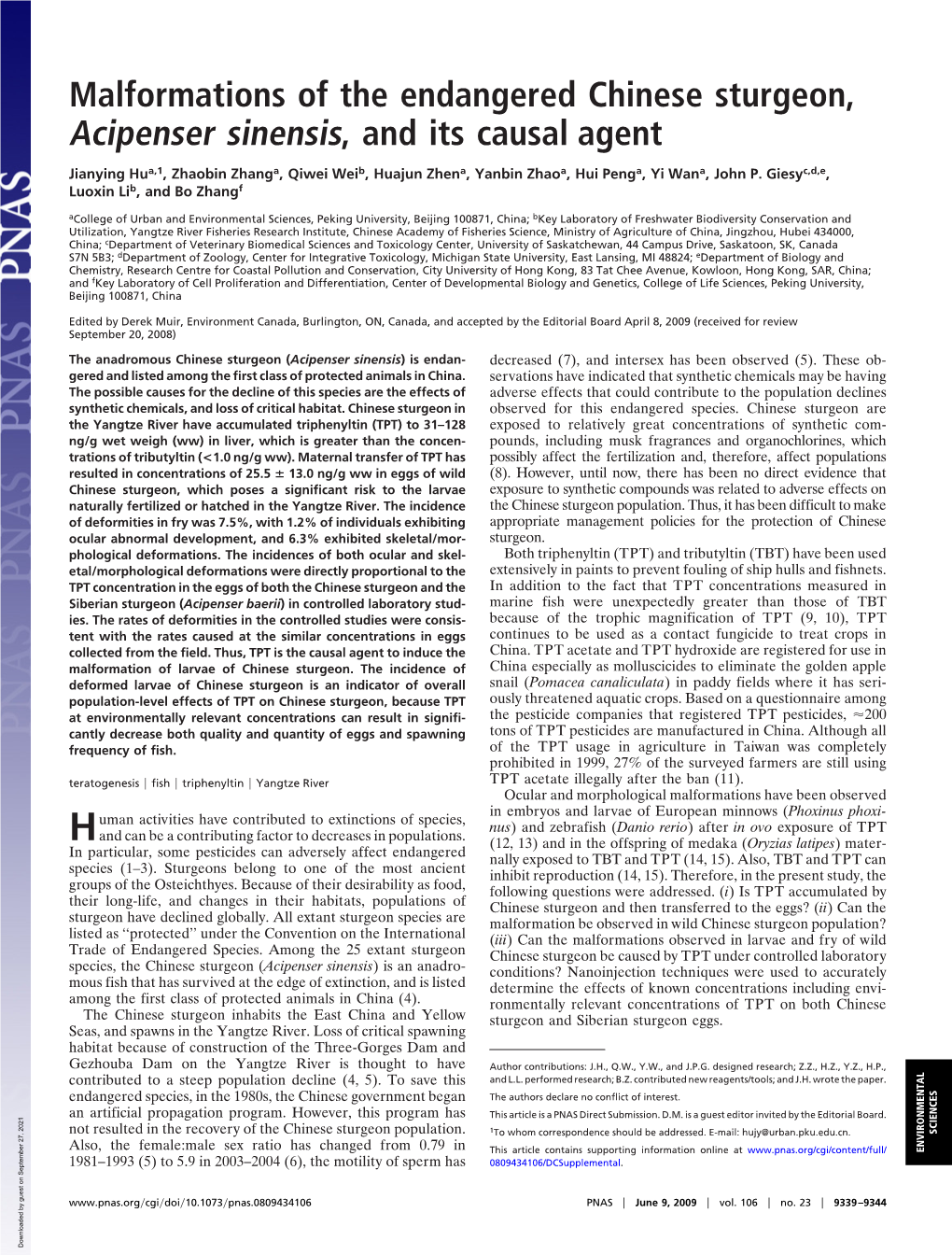 Malformations of the Endangered Chinese Sturgeon, Acipenser Sinensis, and Its Causal Agent