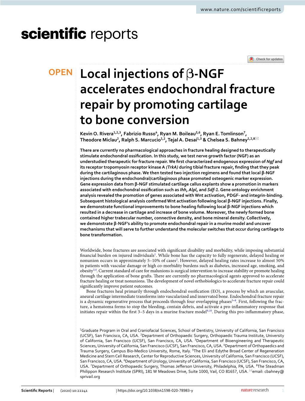 Local Injections of Β-NGF Accelerates Endochondral Fracture Repair by Promoting Cartilage to Bone Conversion