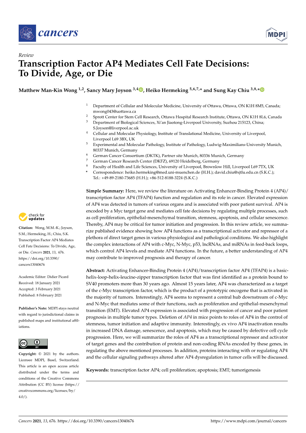 Transcription Factor AP4 Mediates Cell Fate Decisions: to Divide, Age, Or Die