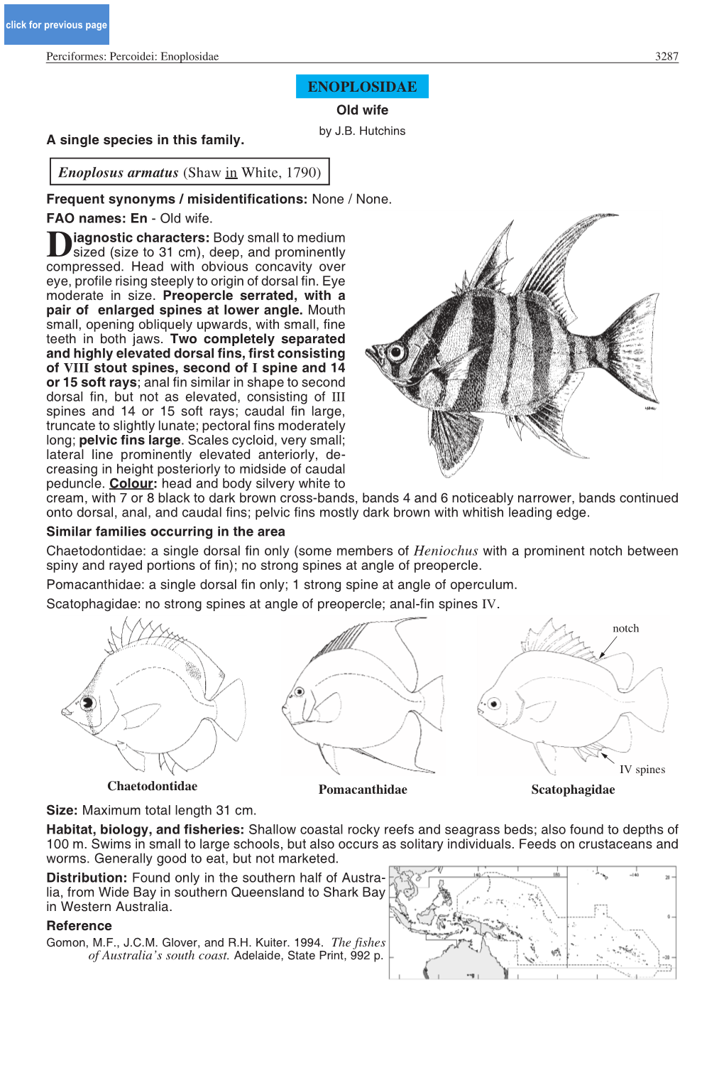 ENOPLOSIDAE Enoplosus Armatus