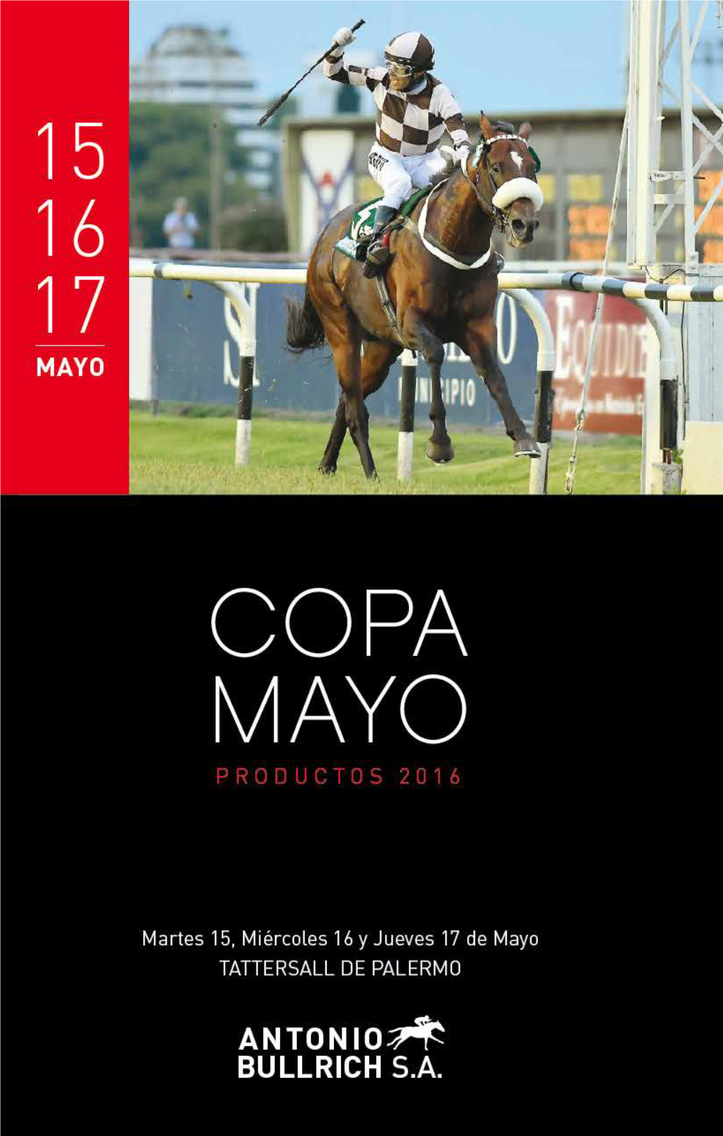 Copa Mayo Productos 2016
