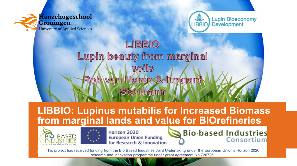 LIBBIO: Lupin Beauty from Marginal Soils