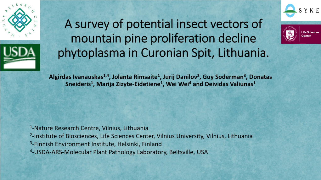 A Survey of Potential Insect Vectors of Mountain Pine Proliferation Decline Phytoplasma in Curonian Spit, Lithuania