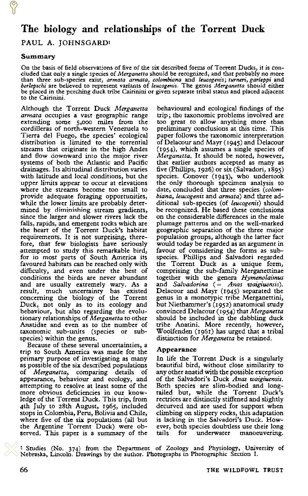 The Biology and Relationships of the Torrent Duck