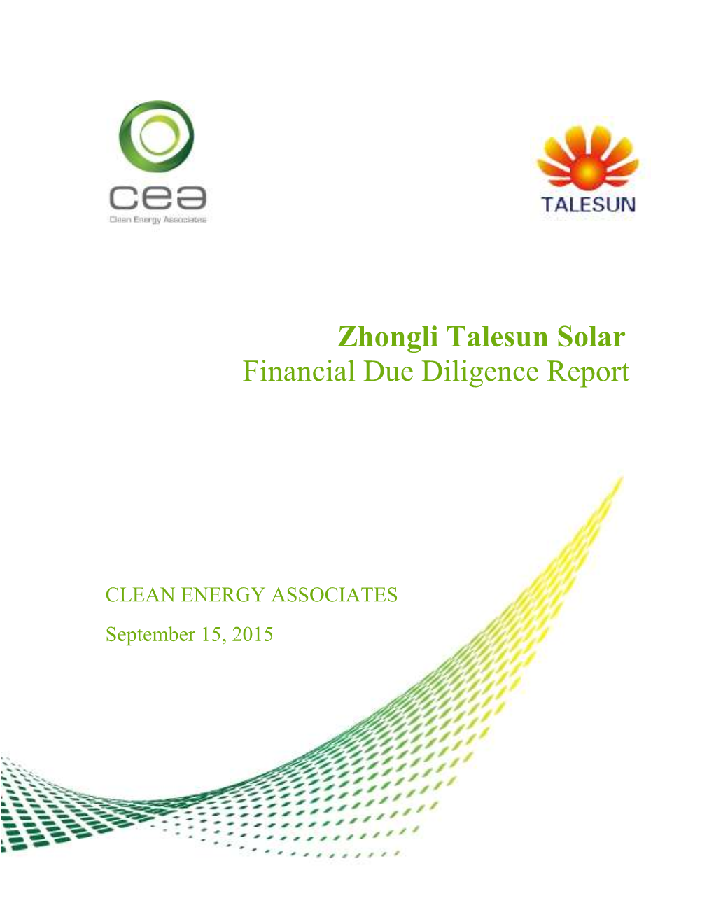 Zhongli Talesun Solar Financial Due Diligence Report