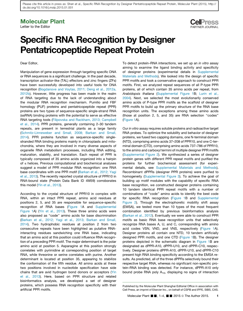 Specific RNA Recognition by Designer Pentatricopeptide Repeat