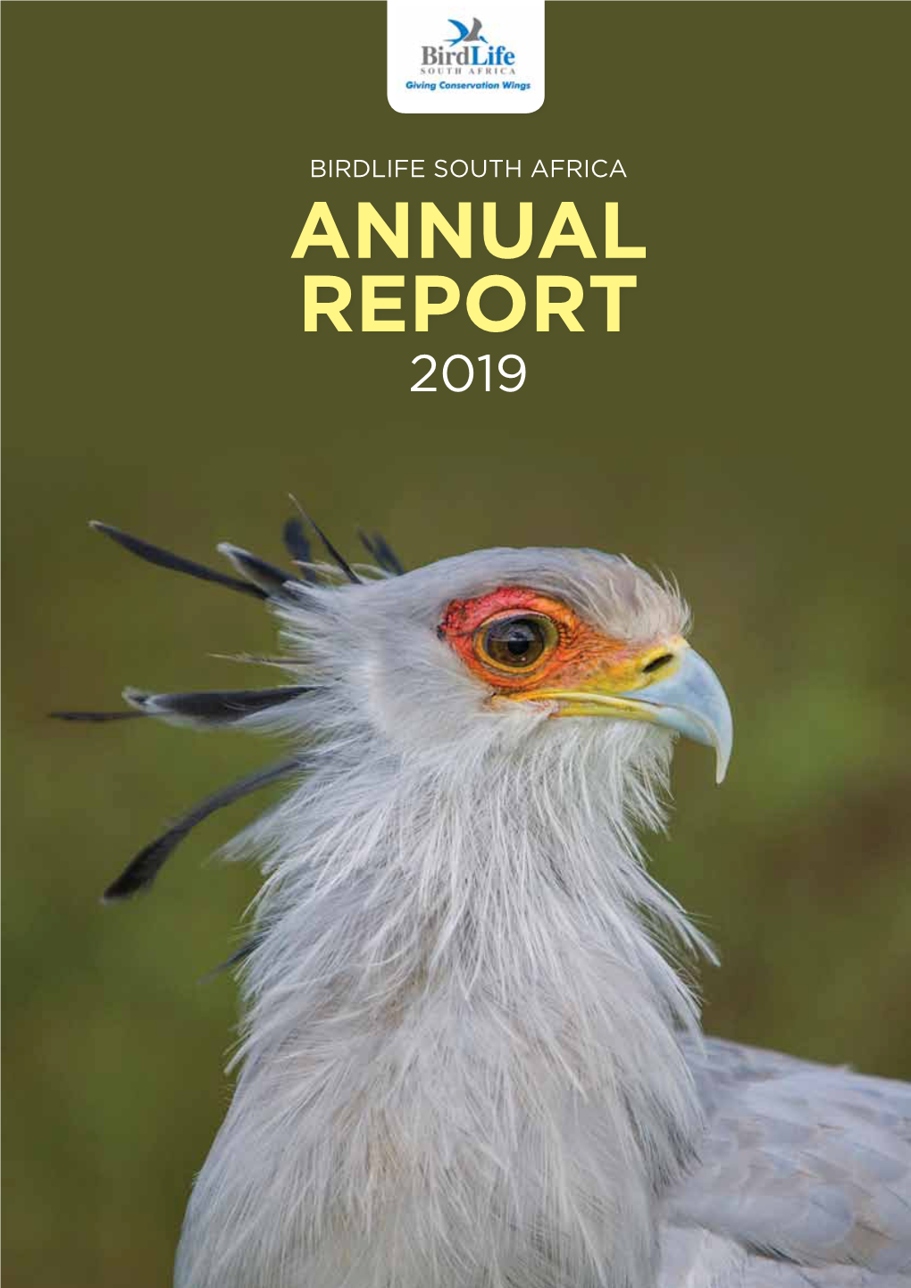 Annual Report 2019 Contents 2 Chairman’S Statement